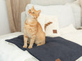 Load image into Gallery viewer, Orange tabby cat sitting on the portable lounge mat in Deep Emerald on a white couch with the Premium Blanket and Knead-it Pad in Ivory White in the background.