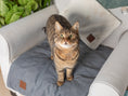 Load image into Gallery viewer, A brown tabby cat standing on the portable lounge mat in Country Blue with the Knead-it Pad in Ivory White in the background