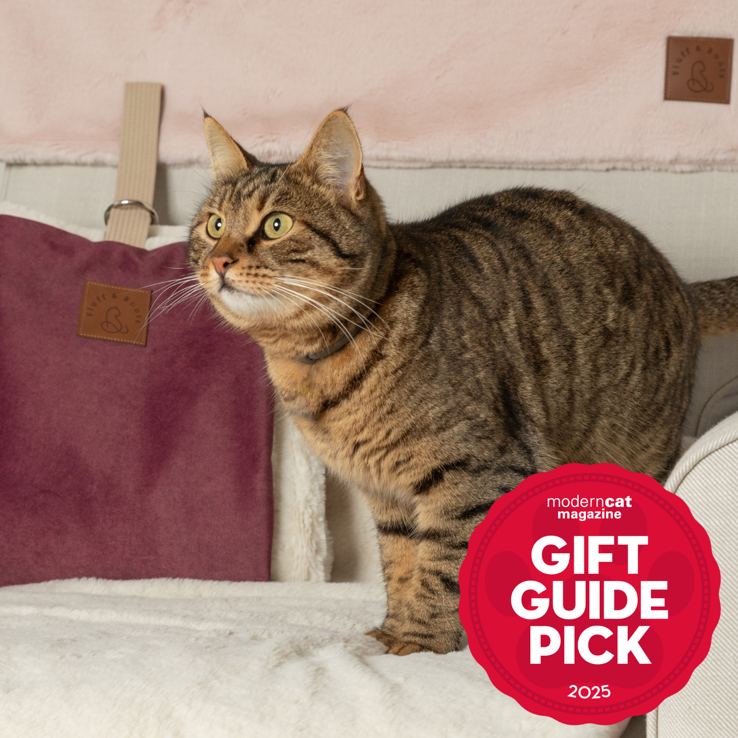 Signature Set: A Complete Comfort Experience for Cats and Cat Signature Set: A Complete Comfort Experience for Cats and Cat