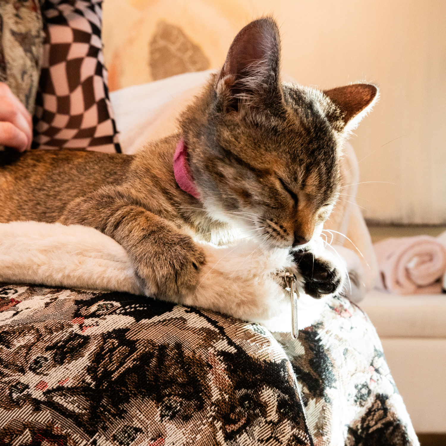 Really Knead-it 3-Pack