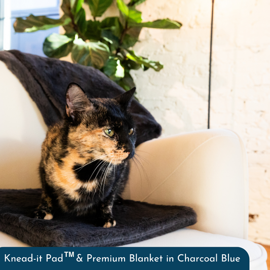 Fluff & Boots’ Innovative Knead-It Pad™ Is Purr-fect for Holiday Travel