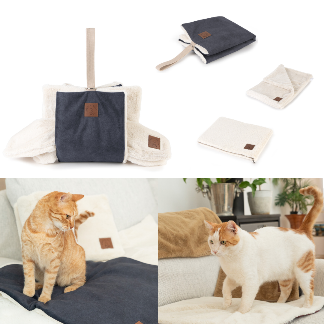 Collage of the Fluff & Boots Signature Set, including all three pieces shown in various angles and used by cats on a couch.