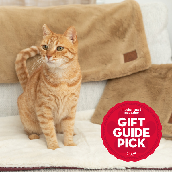 Signature Set: A Complete Comfort Experience for Cats and Cat Signature Set: A Complete Comfort Experience for Cats and Cat