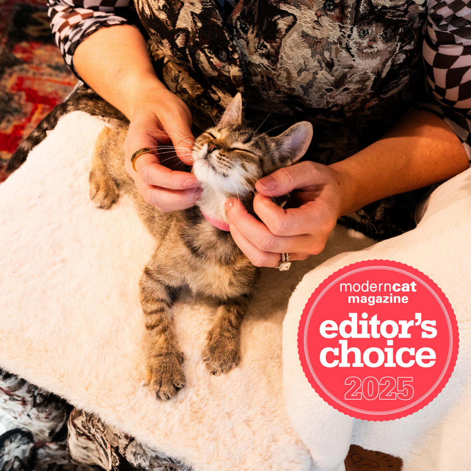 Person petting a cat that's kneading on the Knead-it Pad  with the image showing the  'Modern Cat Magazine Editor's Choice 2025' badge since the Knead-it Pad was recognized by Modern Cat Magazine.