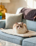 Load image into Gallery viewer, A fluffy cream and brown cat sits on a Fluff & Boots Portable Lounge Mat placed on a light blue sofa, with a patterned pillow and a the Fluff & Boots Charcoal Blue premium blanket in the background.