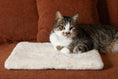 Load image into Gallery viewer, Cat laying on the Knead-it Pad in Ivory White by Fluff and Boots